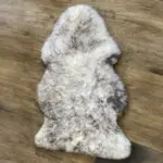 Merino Sitzfell Blacktip oder Wolftip