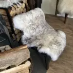 Merino Sitzfell Blacktip oder Wolftip