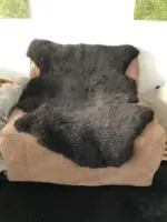 Schwarzes Merino Schaffell als Sitzauflage – Bild 2