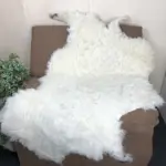 Shorn Valais Blacknose Sheepskin - Image 2