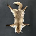 Red-Fox-Fur