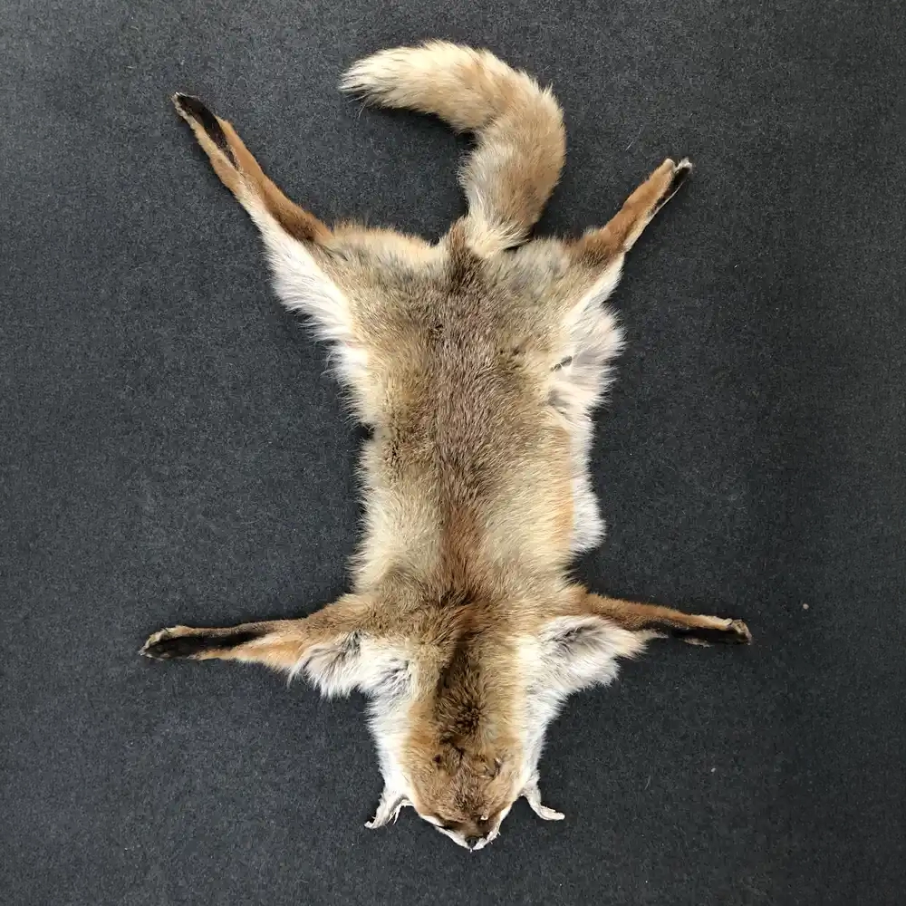 Red-Fox-Fur