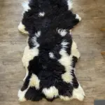 Walliser Schwarznasenbock gescheckt